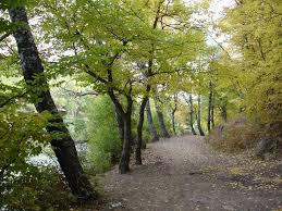 Kıbrıscık Köseler Köyü Resimleri 1