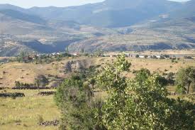 Kıbrıscık Köseler Köyü Resimleri 4