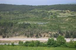 Mengen Afşar Köyü Resimleri 4