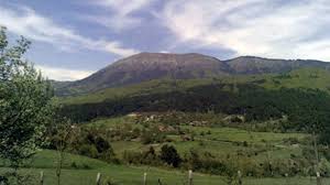 Mengen Afşar Köyü Resimleri 6