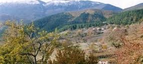 Mengen Afşar Köyü Resimleri 8