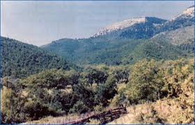 Mengen Afşar Köyü Resimleri 9