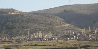 Mengen Ağacalar Köyü Resimleri 1