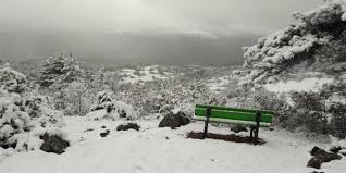 Mengen Ağacalar Köyü Resimleri 4