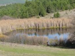 Mengen Ağalar Köyü Resimleri 4