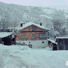 Mengen Akçakoca Köyü Resimleri 4