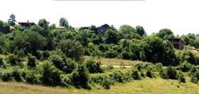 Mengen Akören Köyü Resimleri 3