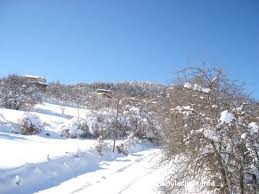 Mengen Akören Köyü Resimleri 4