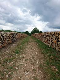 Mengen Aktepe Köyü Resimleri 6