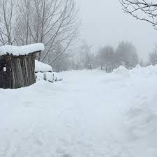 Mengen Banaz Köyü Resimleri 6