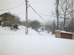 Mengen Başyellice Köyü Resimleri 1