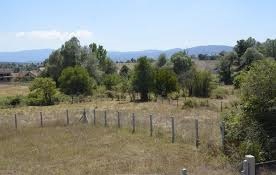 Mengen Başyellice Köyü Resimleri 3