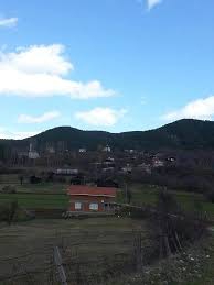 Mengen Başyellice Köyü Resimleri 4