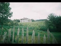 Mengen Başyellice Köyü Resimleri 6