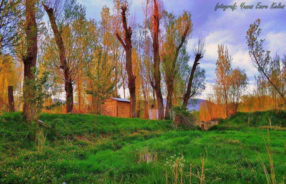 Kelkit  Yeniyol  Köyü Resimleri 1