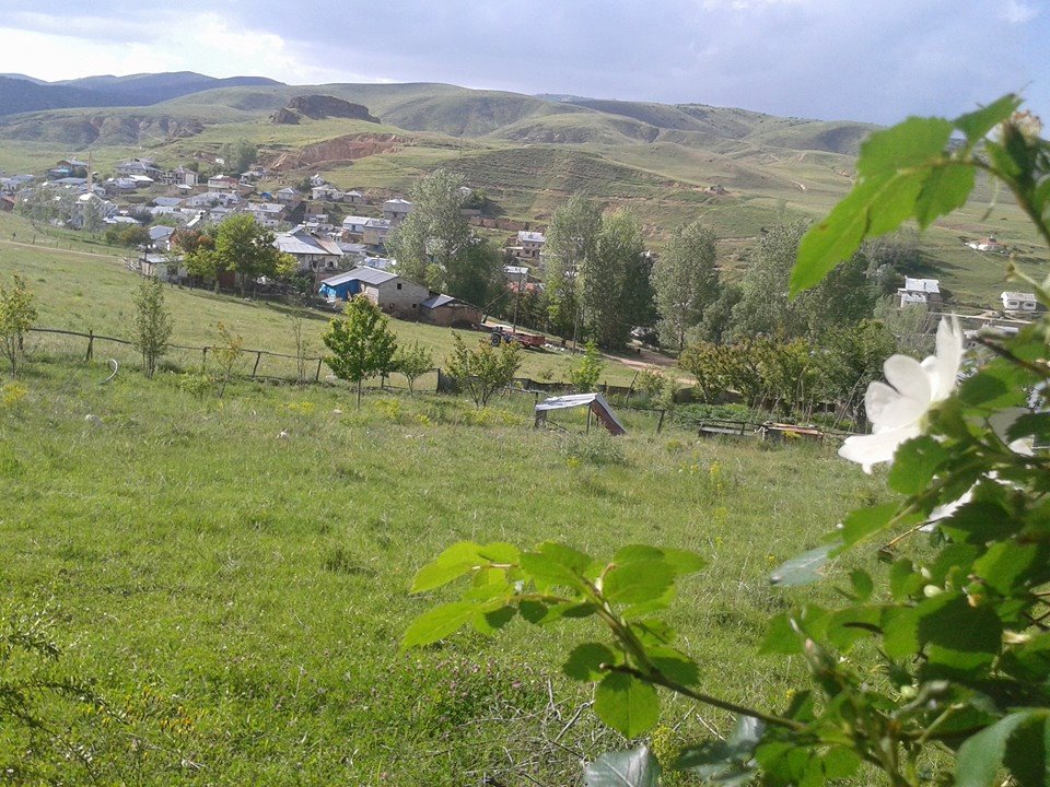 Köse  Kayadibi  Köyü Resimleri 4