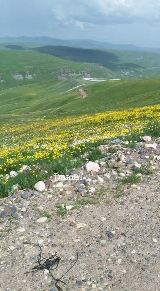 Damal Seyitören Köyü Resimleri 11