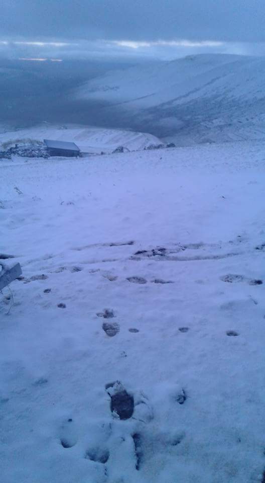 Damal Seyitören Köyü Resimleri 4