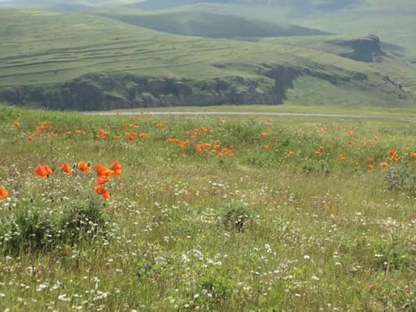 Damal Seyitören Köyü Resimleri 7
