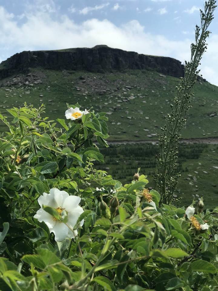 Damal Seyitören Köyü Resimleri 8