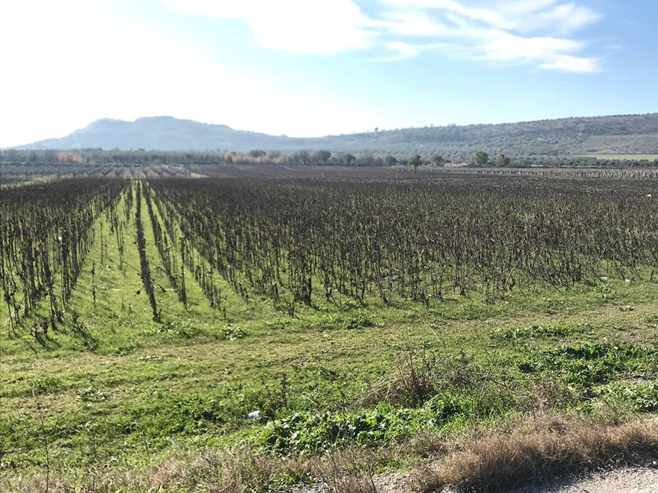 Şehzadeler Tilkisüleymaniye Köyü Resimleri 4