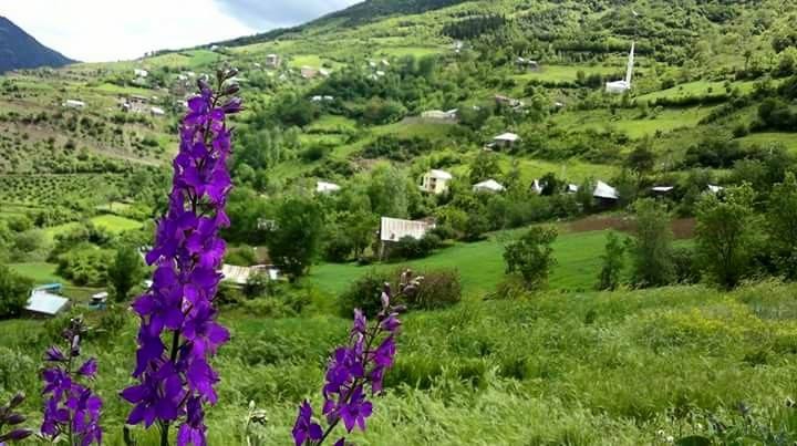 Kürtün Araköy Köyü Resimleri 1