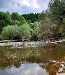 Mengen Bölükören Köyü Resimleri 3