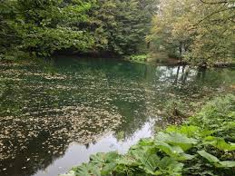 Mengen Bürnük Köyü Resimleri 10