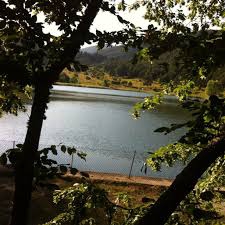 Mengen Bürnük Köyü Resimleri 5