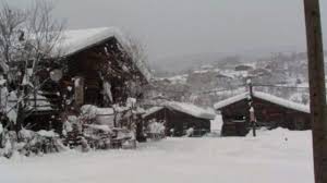 Mengen Bürnük Köyü Resimleri 6