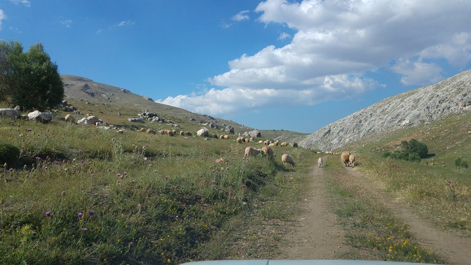 Antalya Elmalı Gümüşyaka Köyü Resimleri 11