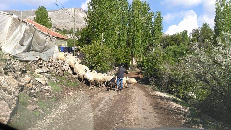 Antalya Elmalı Gümüşyaka Köyü Resimleri 12