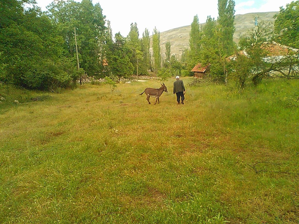 Antalya Elmalı Gümüşyaka Köyü Resimleri 40