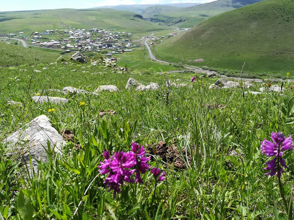 Göle Balçeşme Köyü Resimleri 6