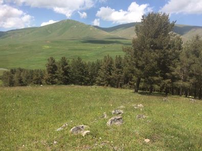 Göle Bellitepe Köyü Resimleri 1