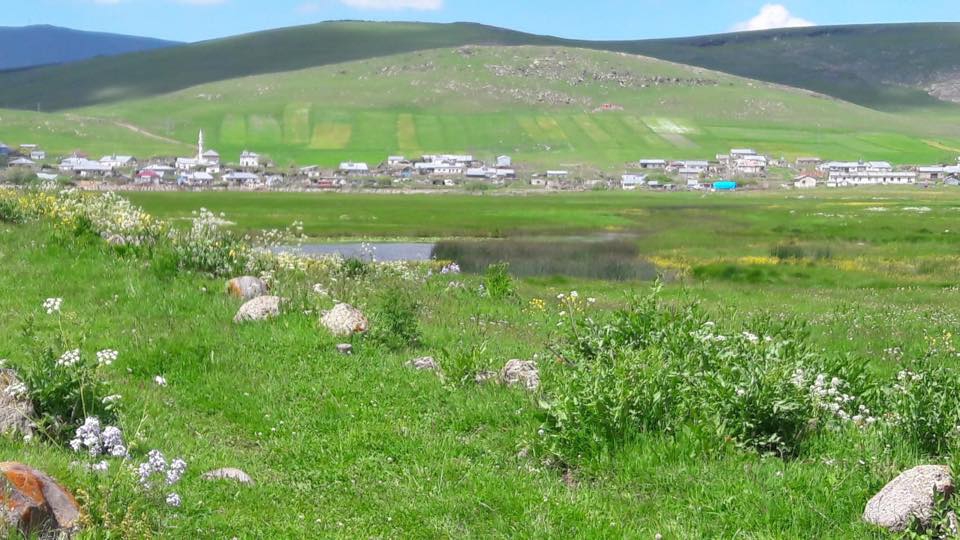 Göle Bellitepe Köyü Resimleri 10