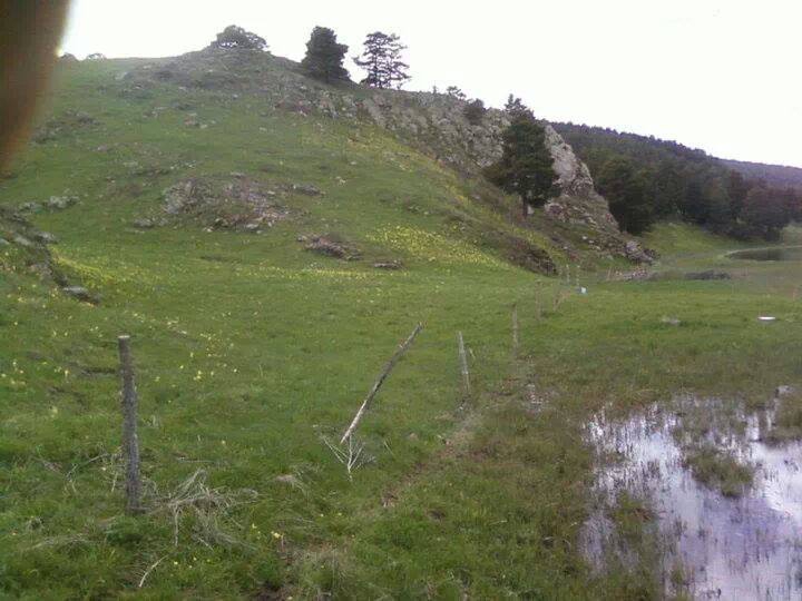 Göle Bellitepe Köyü Resimleri 6