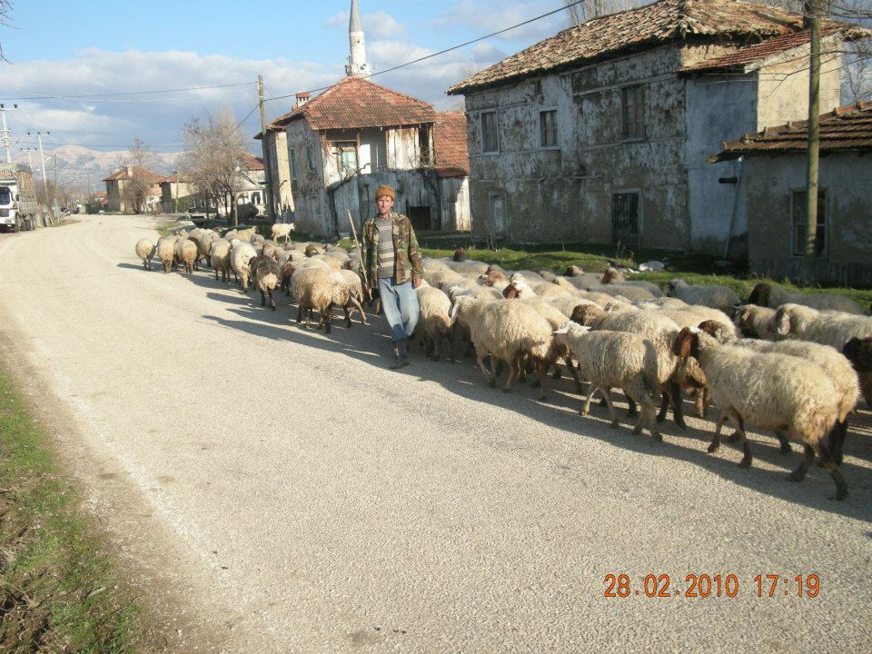 Antalya Elmalı Hacımusalar Köyü Resimleri 22