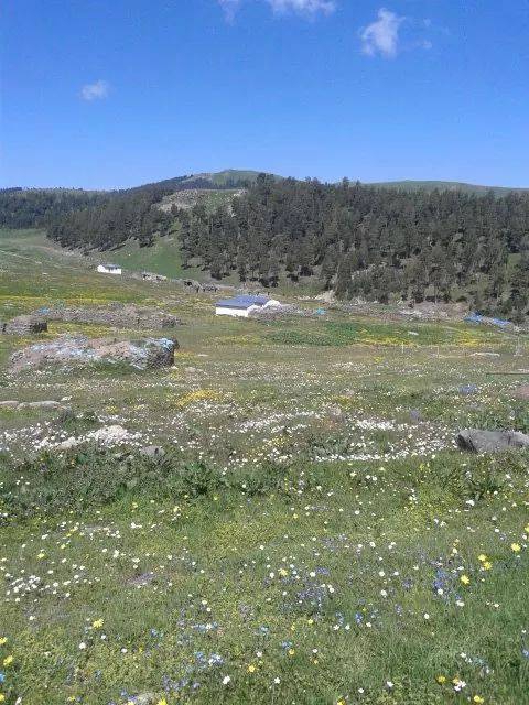 Göle Çalıdere Köyü Resimleri 9