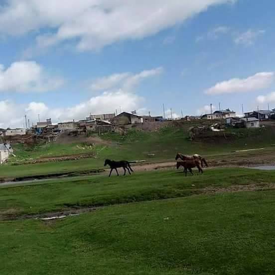 Göle Çayırbaşı Köyü Resimleri 10