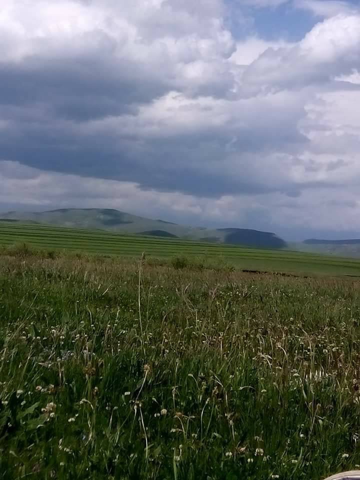 Göle Çayırbaşı Köyü Resimleri 7