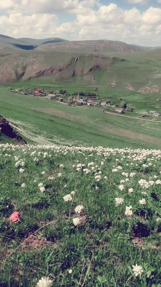 Göle Çullu Köyü Resimleri 8