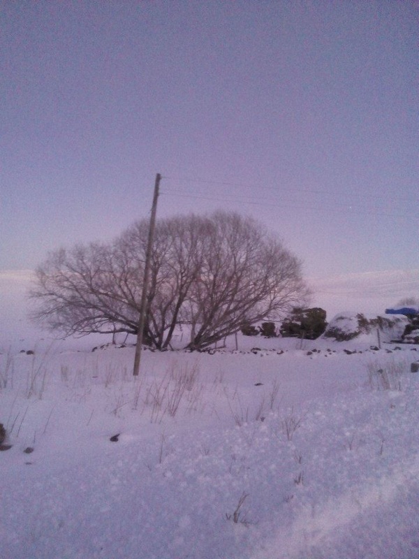 Göle Damlasu Köyü Resimleri 10