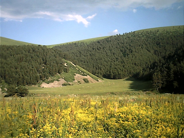 Göle Damlasu Köyü Resimleri 8