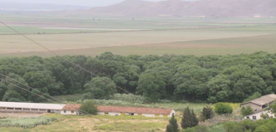 Göle Damlasu Köyü Resimleri 9