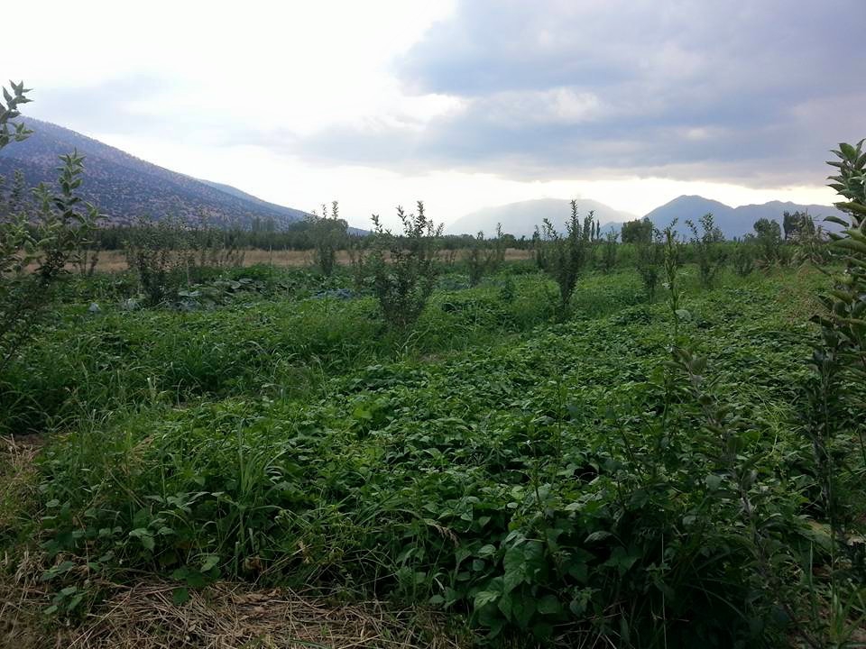 Antalya Elmalı Karamık Köyü Resimleri 10