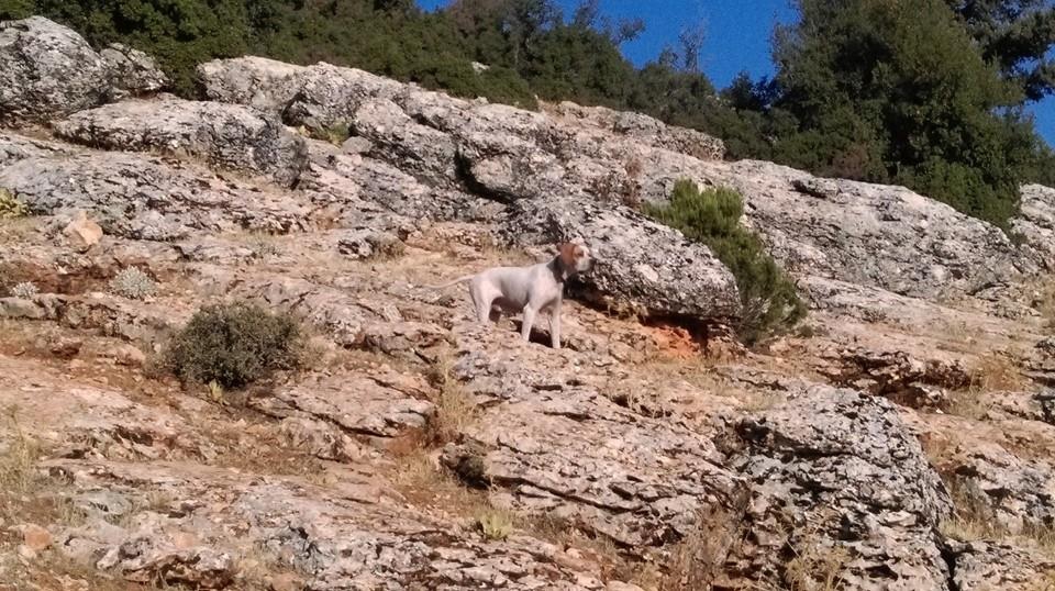 Antalya Elmalı Karamık Köyü Resimleri 9