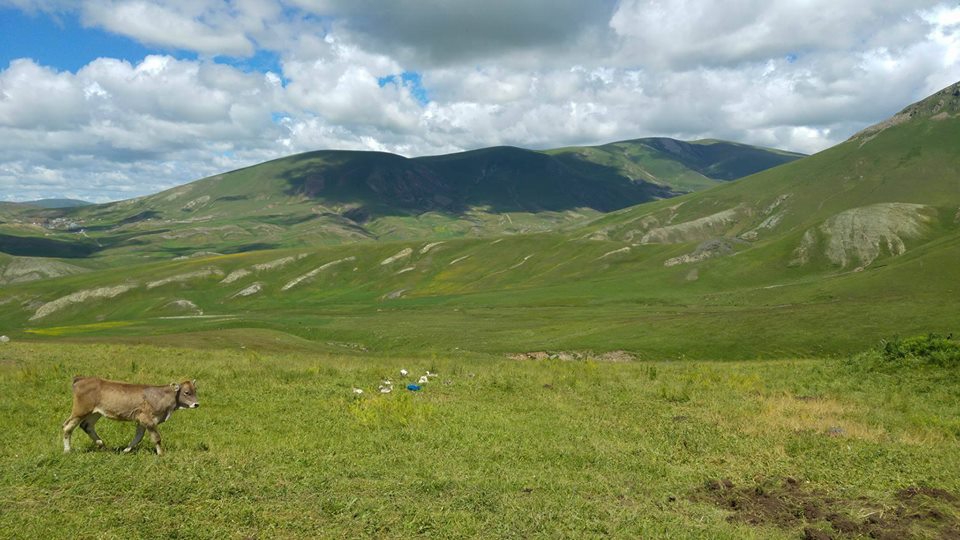 Göle Dengeli Köyü Resimleri 9