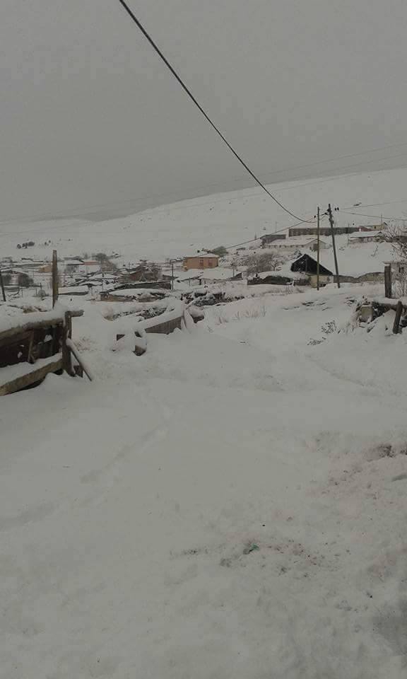 Göle Dereyolu Köyü Resimleri 4