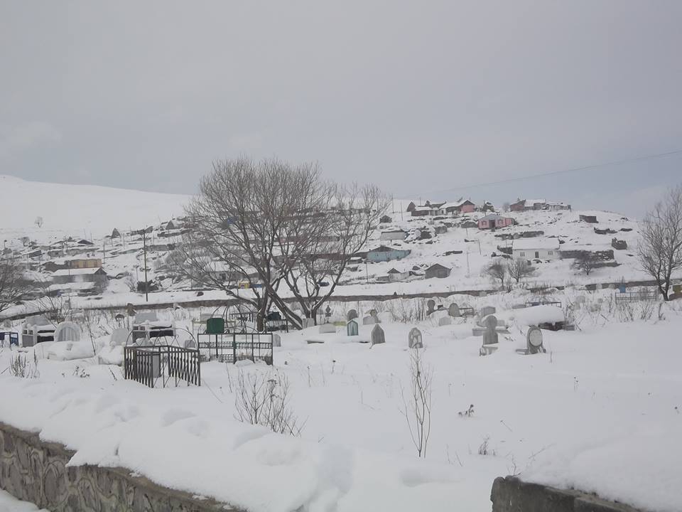 Göle Dereyolu Köyü Resimleri 8